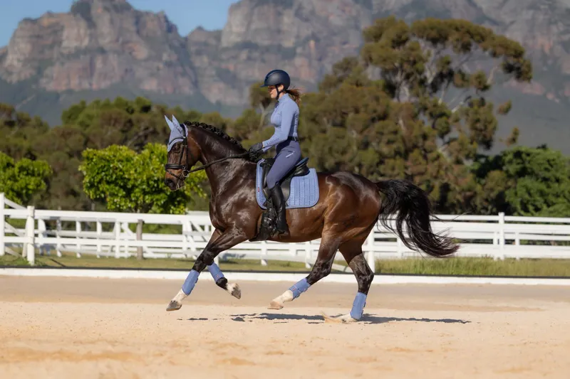 LeMieux Suede Dressage Square in Powder Blue-2