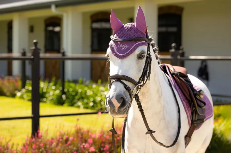LeMieux Mini Classic Fly Hood - Small - Mallow-1