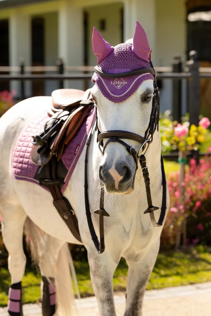 LeMieux Mini Classic Fly Hood - Small - Mallow-2