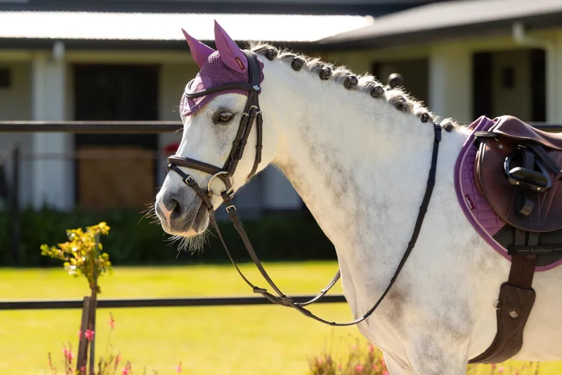 LeMieux Mini Classic Fly Hood - Small - Mallow-3