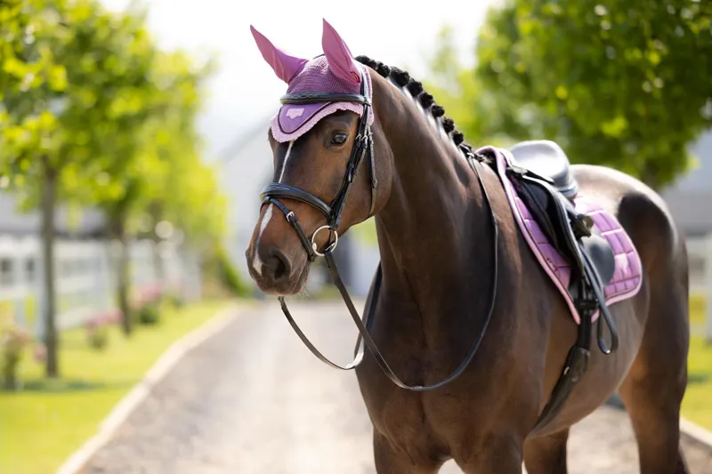 LeMieux Loire Fly Hood in Mallow-4