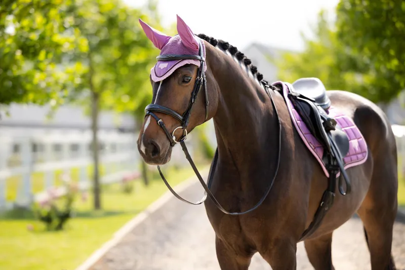 LeMieux Loire Fly Hood in Mallow-1