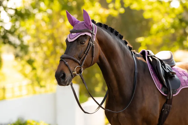 LeMieux Loire Fly Hood in Mallow-2