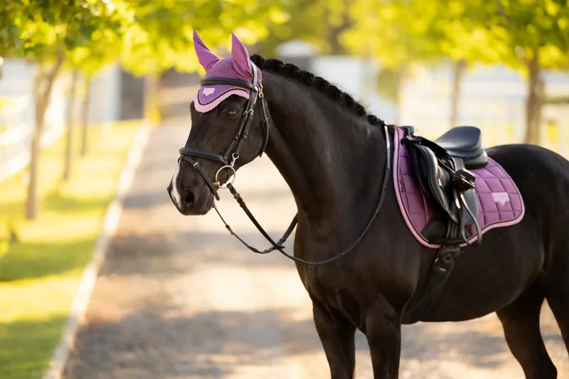 LeMieux Loire Fly Hood in Mallow-3