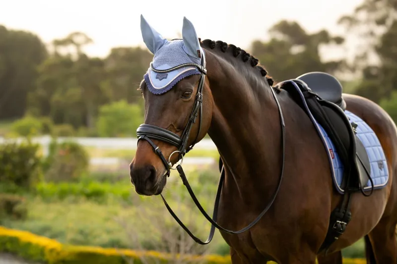 LeMieux Loire Fly Hood in Powder Blue-4