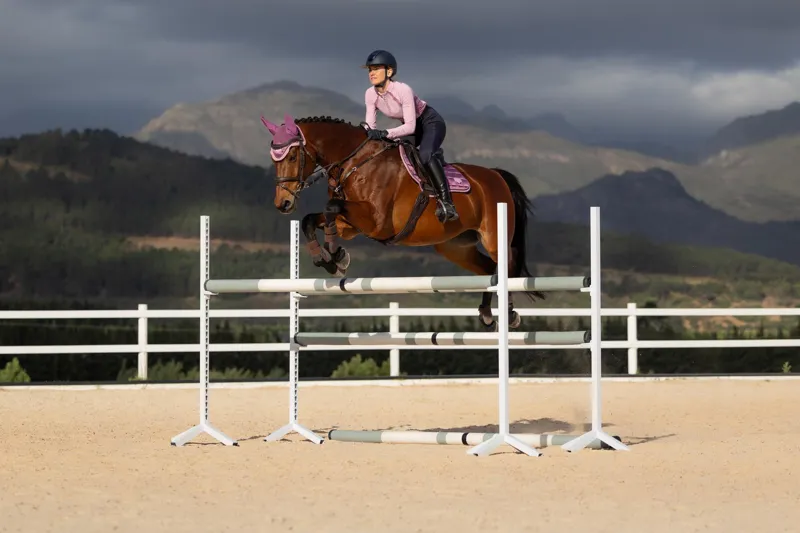 LeMieux Loire Classic Close Contact Square in Mallow-2