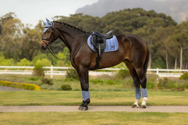 LeMieux Loire Classic Close Contact Square in Powder Blue-4