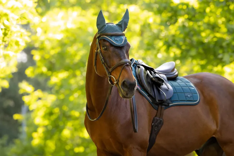 LeMieux Loire Classic Close Contact Square in Jungle-1