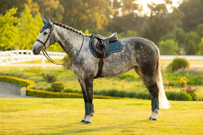 LeMieux Loire Classic GP Square in Jungle-4