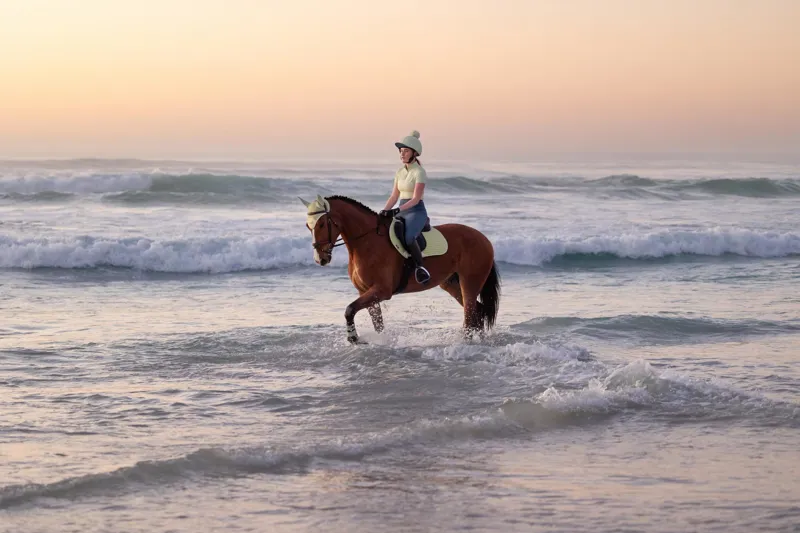 LeMieux Air-Tek Mesh Close Contact Square in Macaron-3