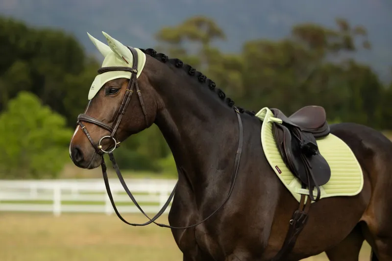 LeMieux Air-Tek Mesh Fly Hood in Macaron