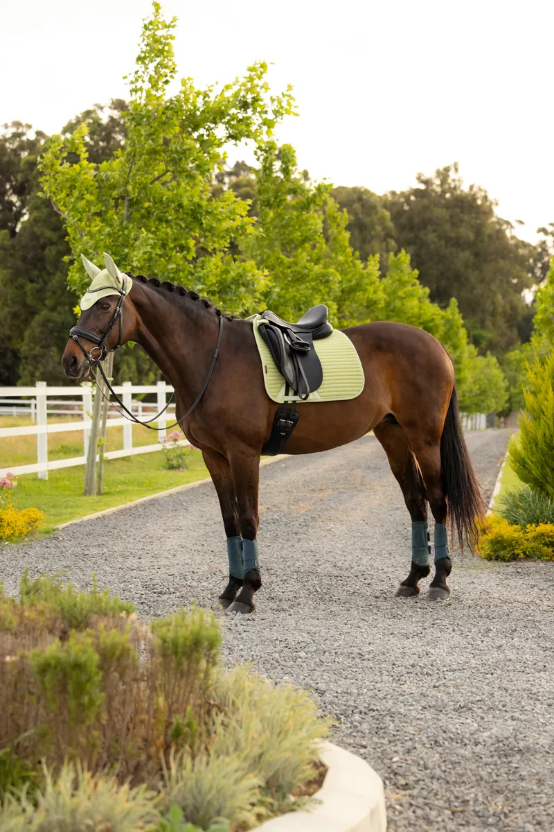 LeMieux Air-Tek Mesh Dressage Square in Macaron