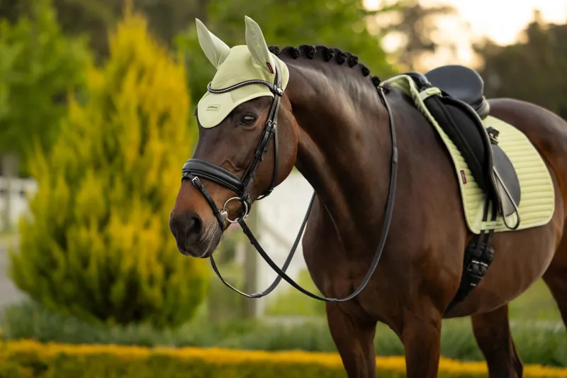 LeMieux Air-Tek Mesh Fly Hood in Macaron-1