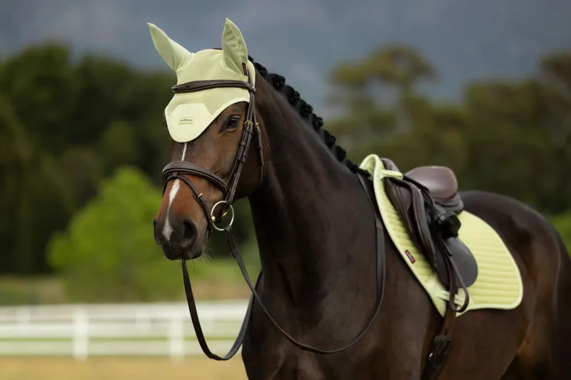 LeMieux Air-Tek Mesh Fly Hood in Macaron-3