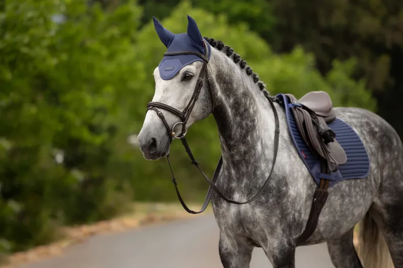  LeMieux Air-Tek Mesh Fly Hood in Shadow-2