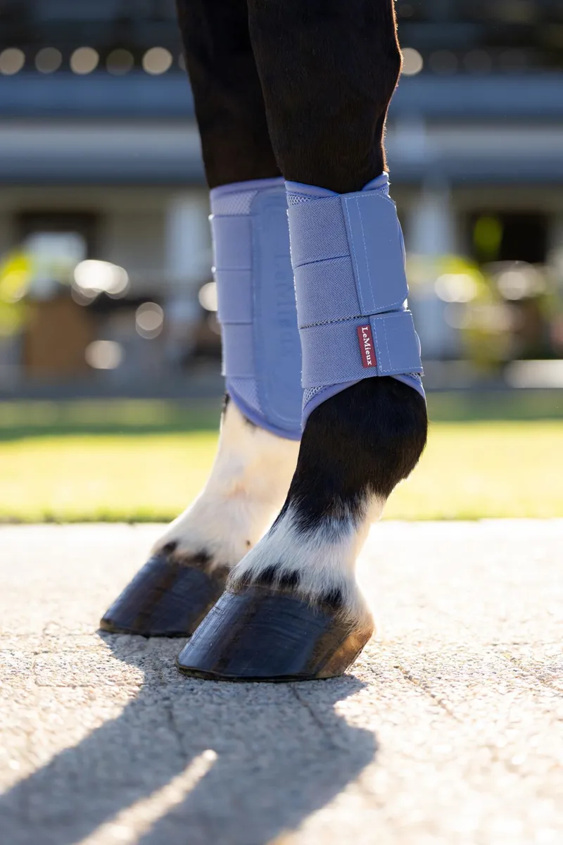 LeMieux Arika Mesh Brushing Boots in Powder Blue-3