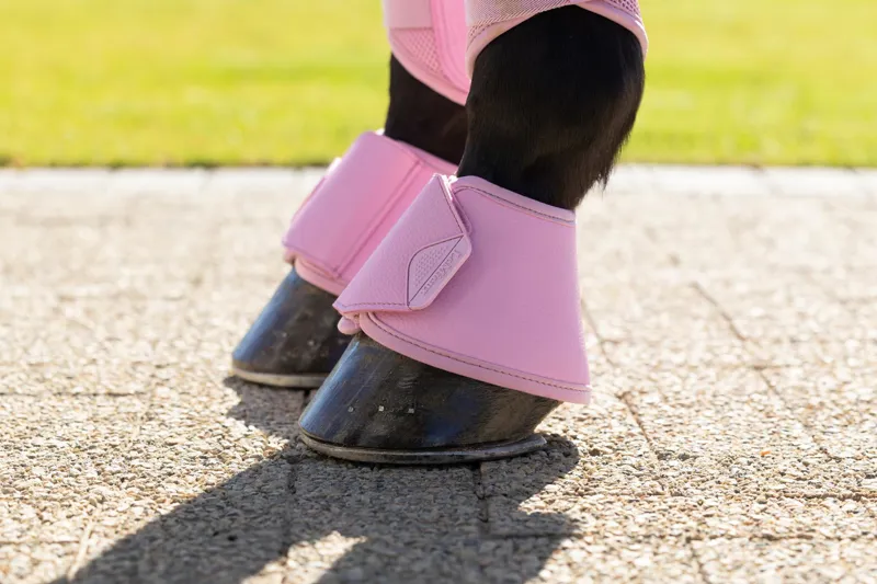 LeMieux Arika Over Reach Boots in Fondant-2