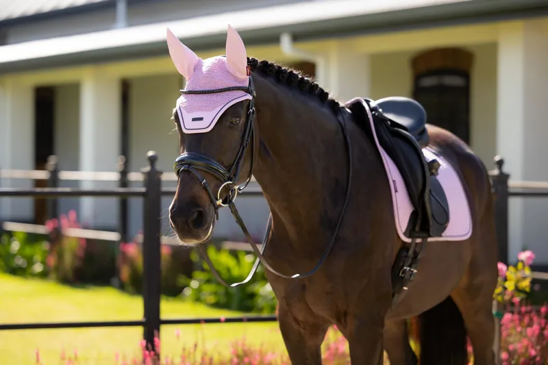 LeMieux Essence Dressage Square in Fondant-2