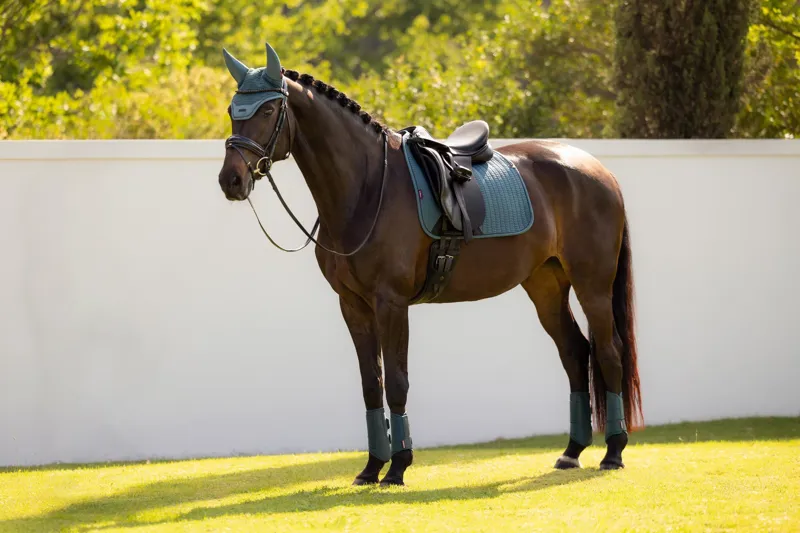 LeMieux Essence Dressage Square in Jungle-3