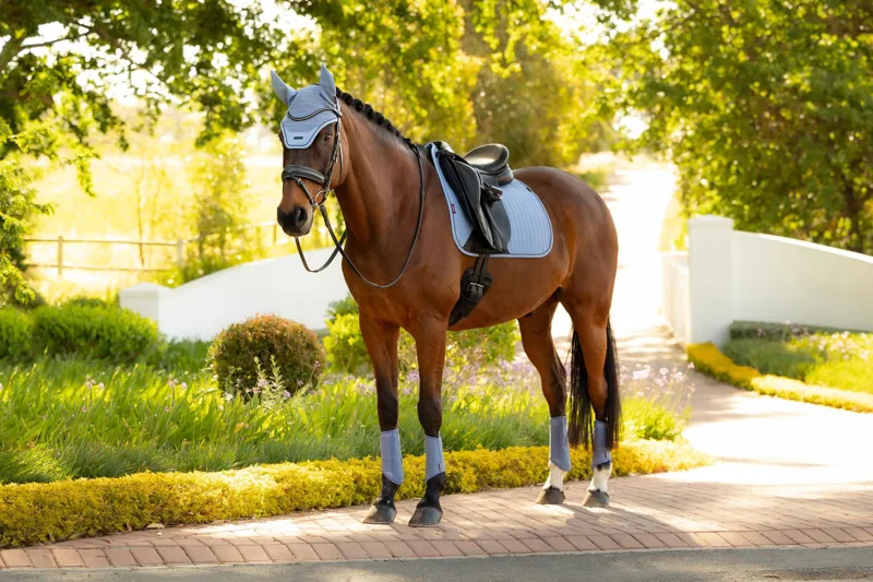 LeMieux Essence Dressage Square in Powder Blue-2