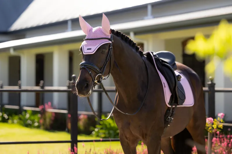 LeMieux Essence Fly Hood in Fondant-2