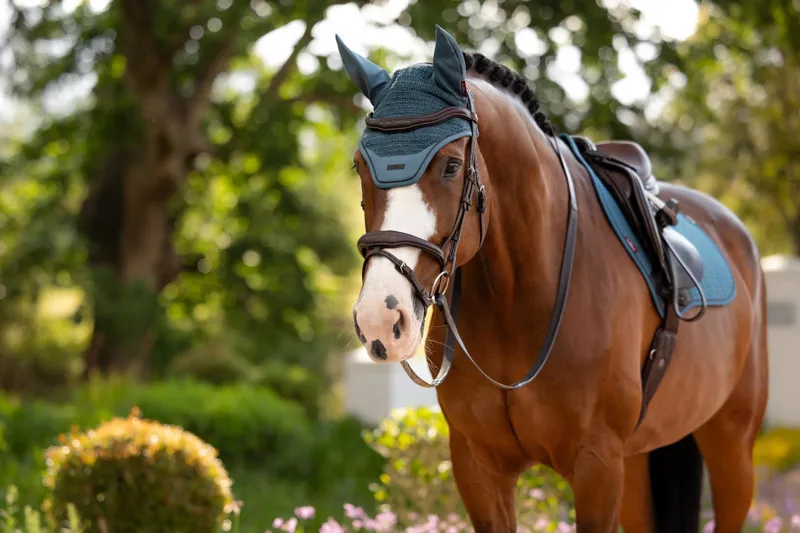 LeMieux Essence Fly Hood in Jungle-1