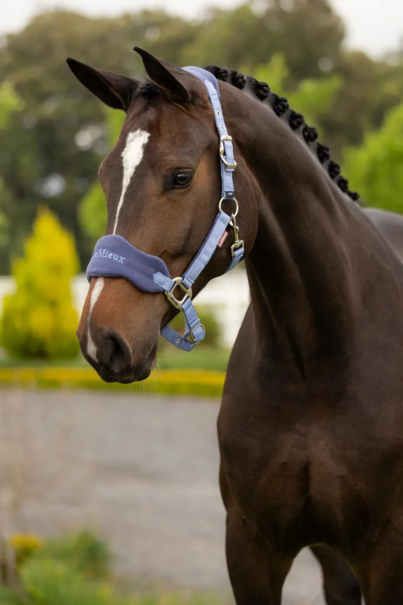 LeMieux Vogue Headcollar and Leadrope in Powder Blue-1