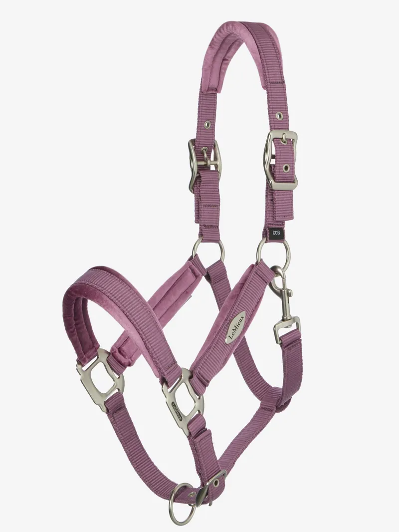 LeMieux Versailles Headcollar in Mallow
