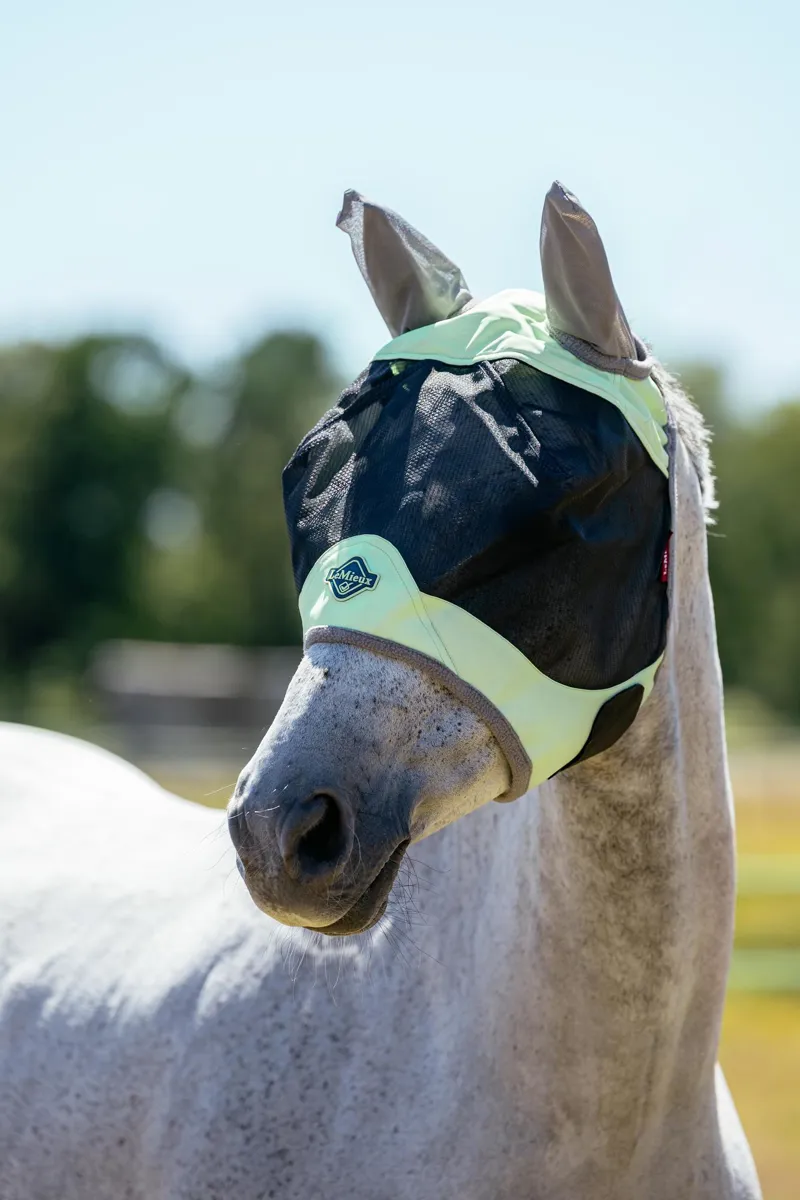LeMieux Visor-Tek Half Fly Mask in Macaron-2