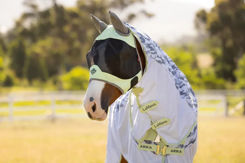 LeMieux Visor-Tek Half Fly Mask in Macaron-3