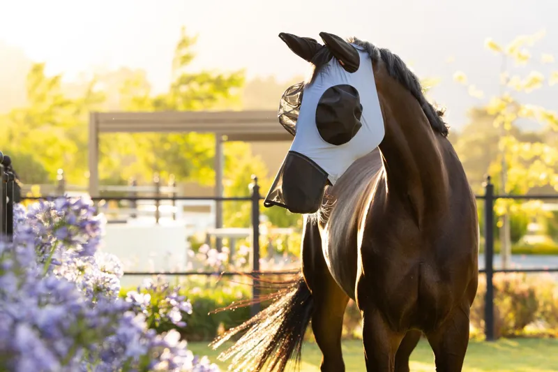 LeMieux Bug Relief Full Fly Mask in Powder Blue-1