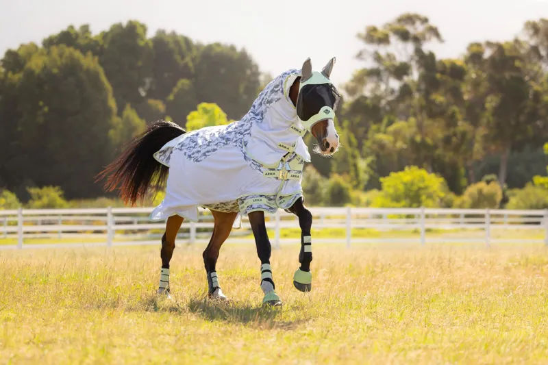 LeMieux Arika Camo-Tek Fly Rug in Macaron-2
