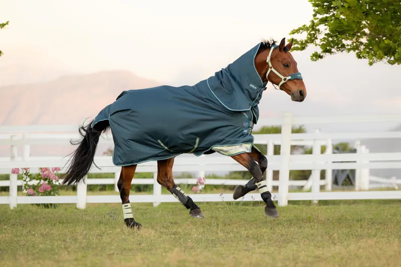 LeMieux Arika Ripstop 0g Turnout Rug in Jungle-2