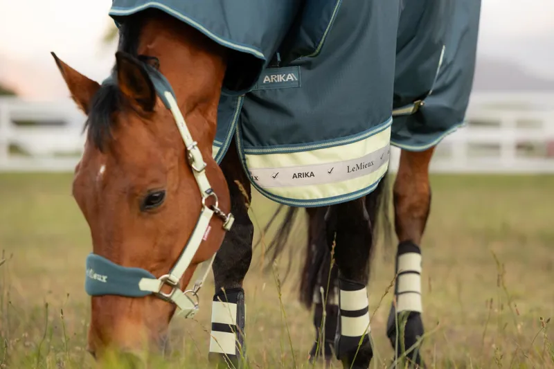 LeMieux Arika Ripstop 0g Turnout Rug in Jungle-3