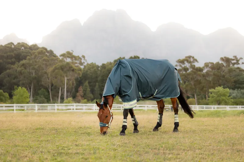 LeMieux Arika Ripstop 0g Turnout Rug in Jungle-4