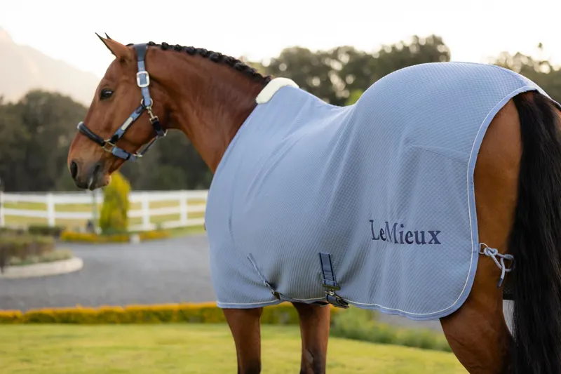 LeMieux Kudos Bamboo Cooler in Powder Blue-3