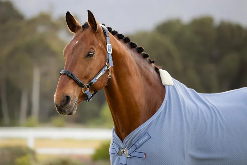 LeMieux Kudos Bamboo Cooler in Powder Blue-2