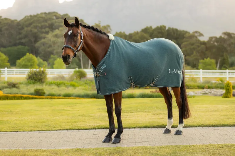 LeMieux Kudos Bamboo Cooler in Jungle