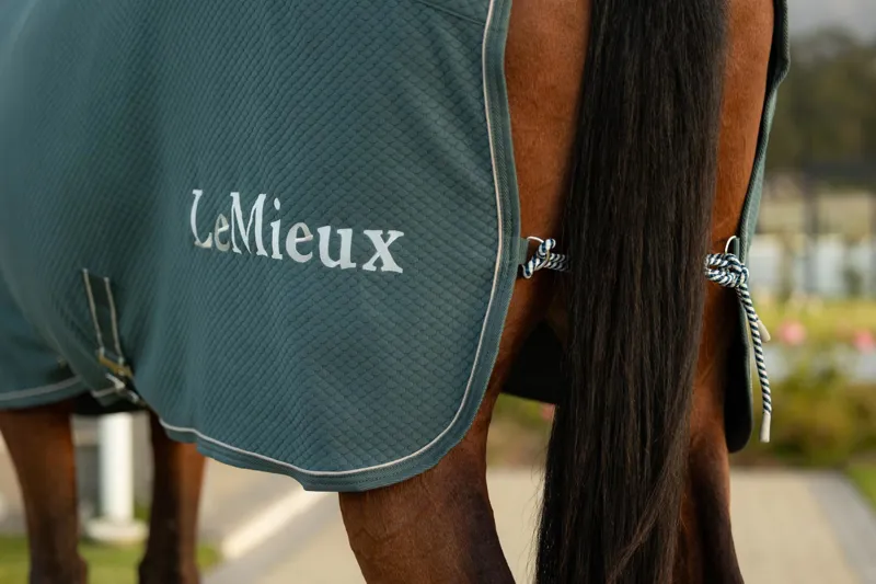 LeMieux Kudos Bamboo Cooler in Jungle-2