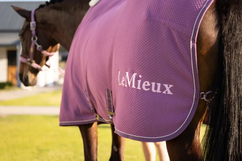 LeMieux Kudos Bamboo Cooler in Mallow-3