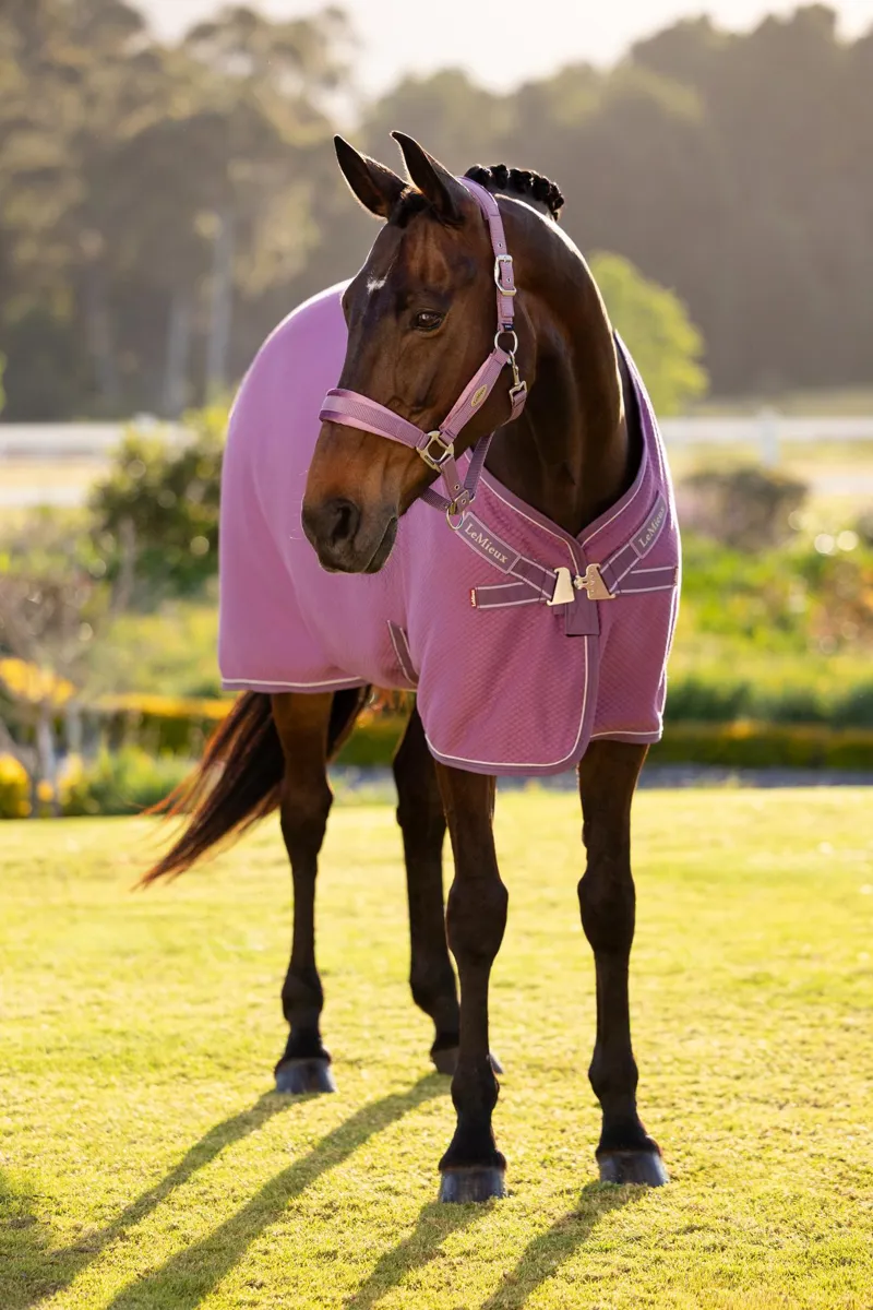 LeMieux Kudos Bamboo Cooler in Mallow-1