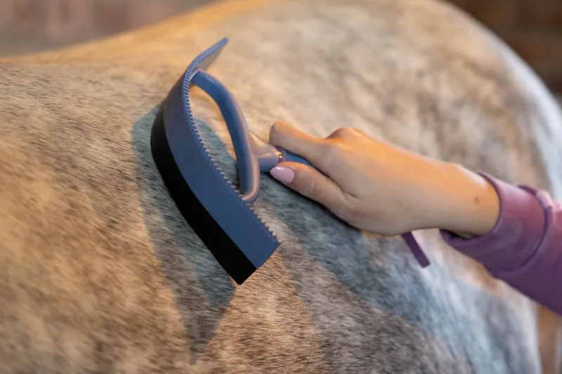 LeMieux Sweat Scraper in Powder Blue-2