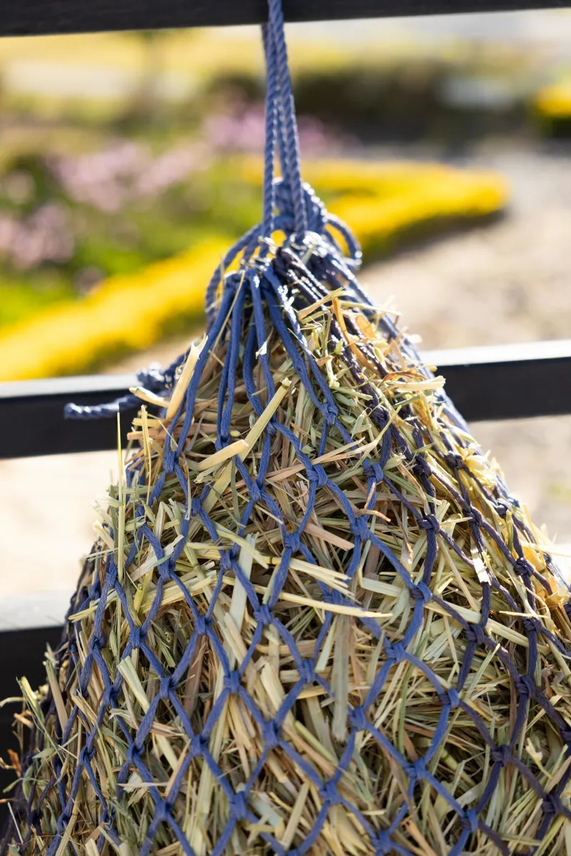 LeMieux Hippo Haynet in Powder Blue and Shadow-3