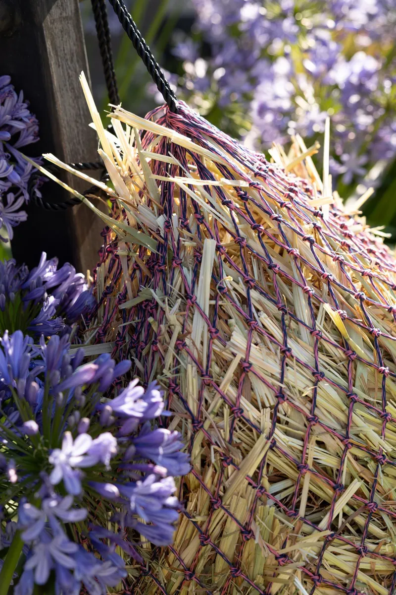 LeMieux Hippo Haynet in Navy and Mallow-1