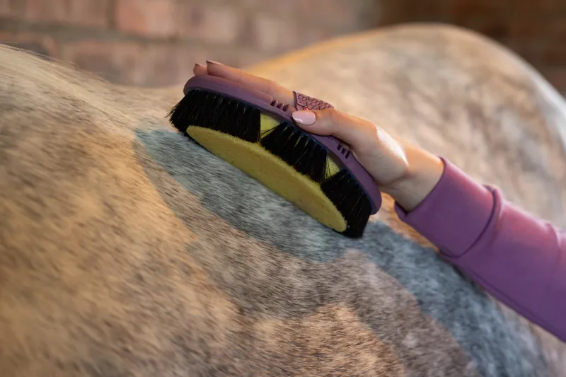 LeMieux Flexi Sponge Brush in Powder Blue-1