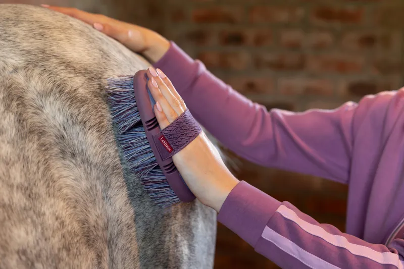 LeMieux Flexi Flicky Brush in Powder Blue-1