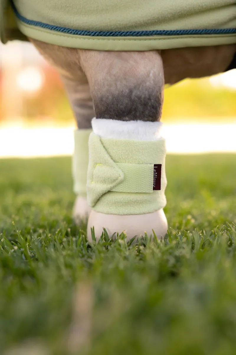 LeMieux Toy Pony Bandages in Macaron-1