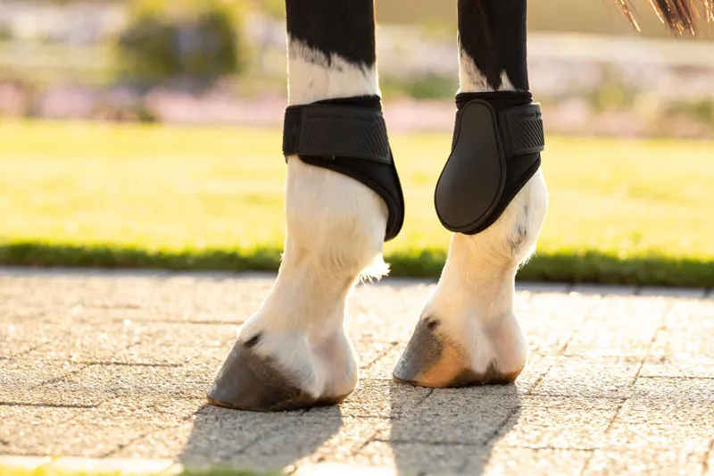 LeMieux Arika Fetlock Boots in Black