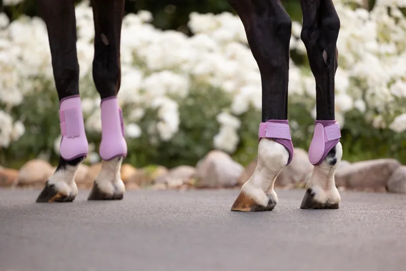 LeMieux Arika Fetlock Boots in Fondant-2