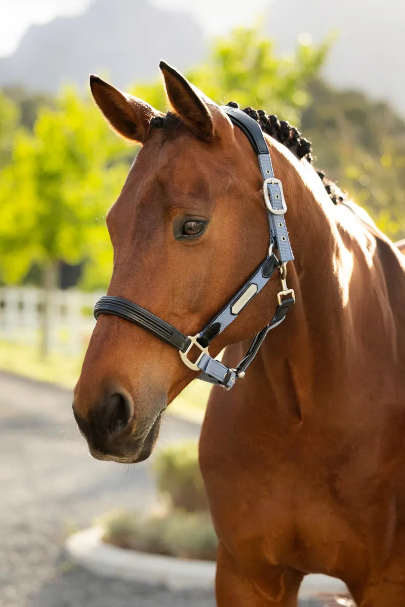 LeMieux Capella Headcollar in Powder Blue-2